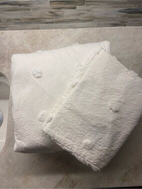 Pottery Barn Twin XL Duvet Cover and Pillowcase